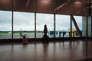 ANA SFC改悪で上級会員どうする？カードだけで取れる航空会社ステータス【2026年・39枚中4枚】